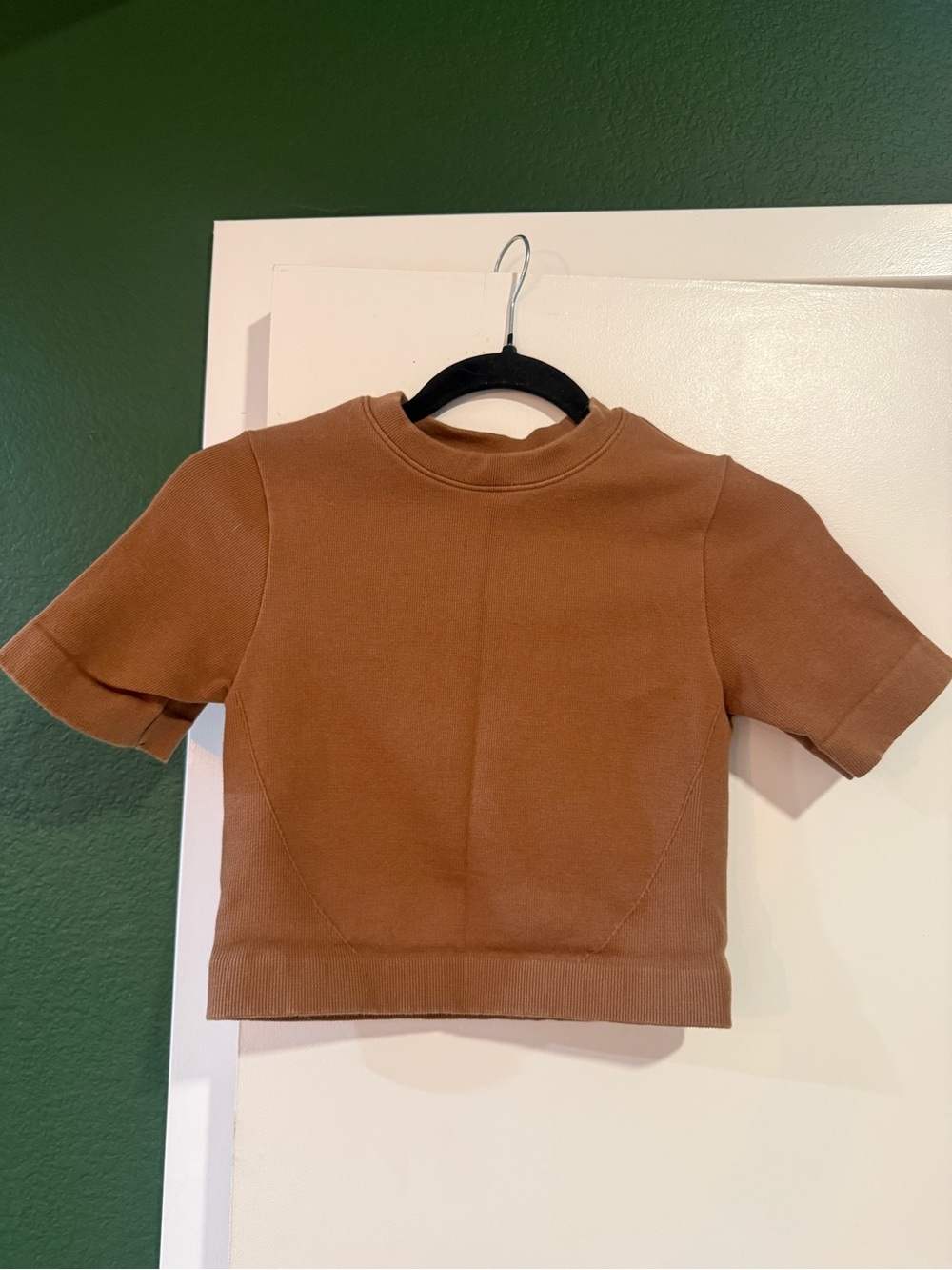 Everlane Short-Sleeve Crop Top in rust Brown